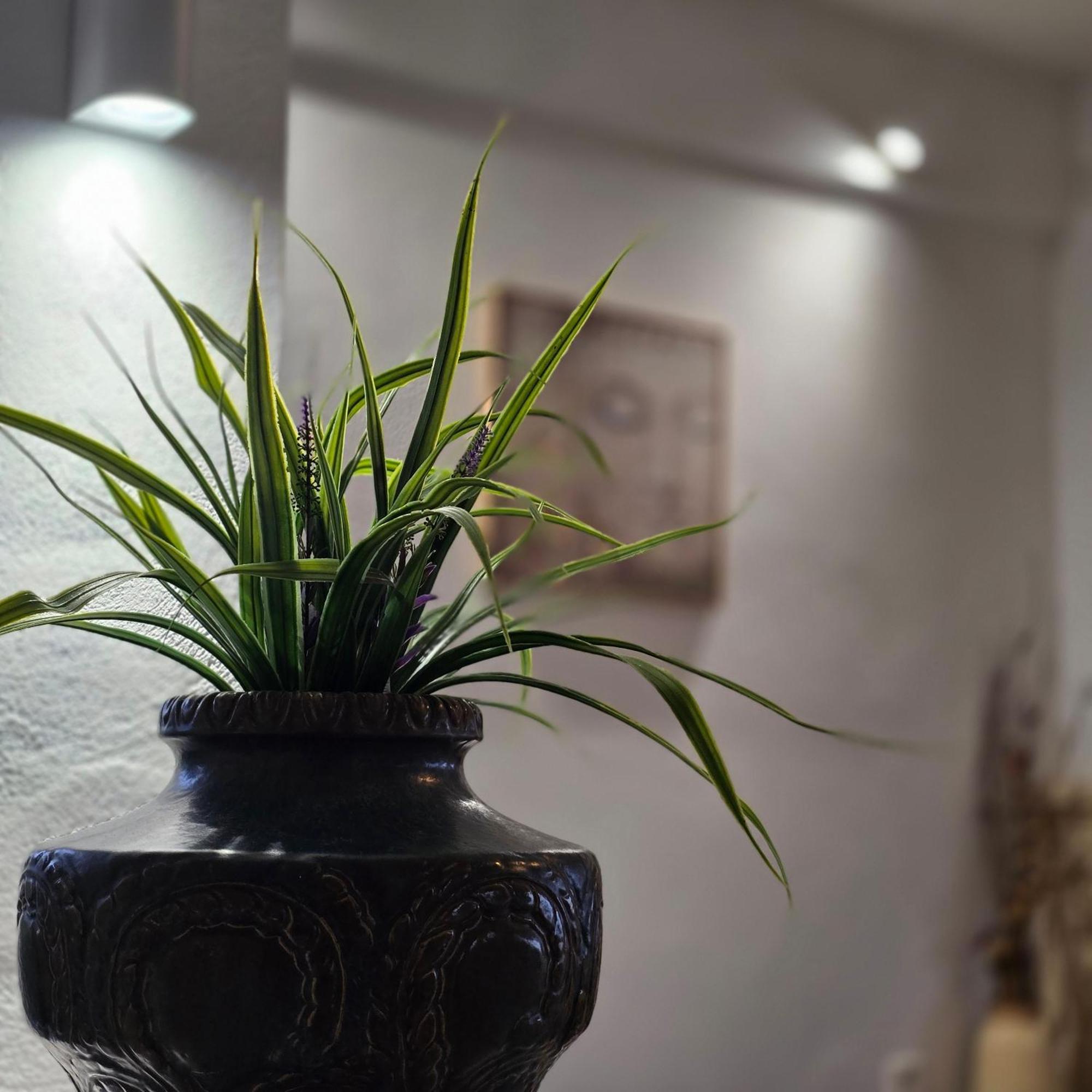 Maronia Villa 外观 照片